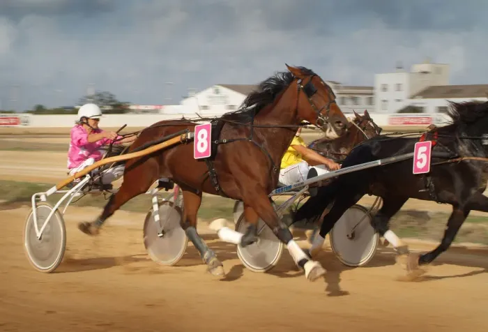 Framed Print : Horse trotting races - Hipodromo, Sant Lluis, Mahon, Menorca Framed Print : Horse trotting races - Hipodromo, Sant Lluis, Mahon, Menorca