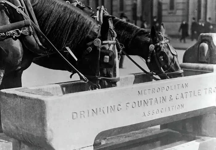 Framed Print : Horse trough, London, early 1900s Framed Print : Horse trough, London, early 1900s