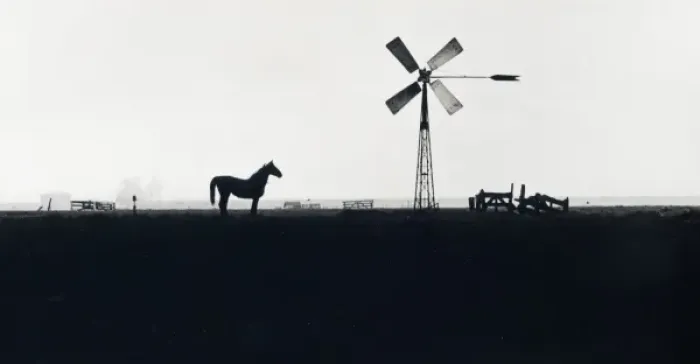 Framed Print : Horse and wind tower in a misty field Framed Print : Horse and wind tower in a misty field