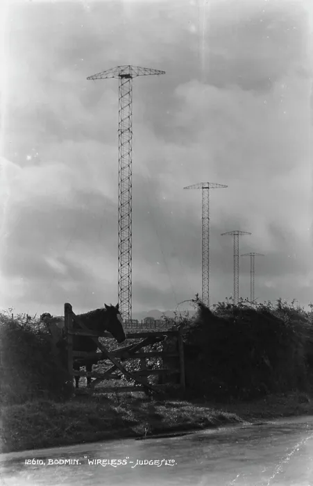 Framed Print : Horse by the Wireless Towers Framed Print : Horse by the Wireless Towers