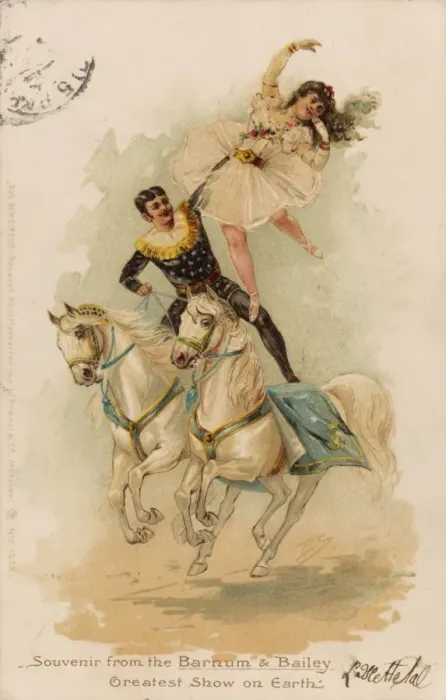 Framed Print : Horseback Acrobatics Framed Print : Horseback Acrobatics