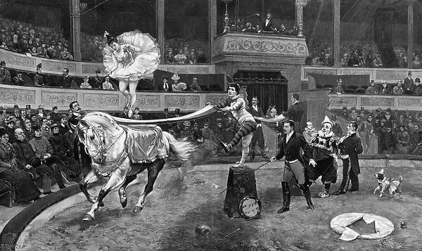Horseback dancer at a circus