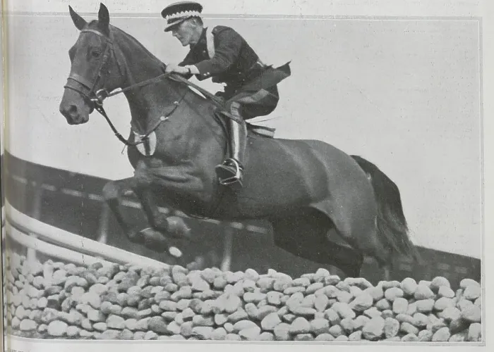 Framed Print : Horsejumping Framed Print : Horsejumping
