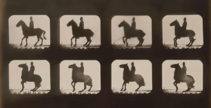 Framed Print : Horses. Backing Framed Print : Horses. Backing