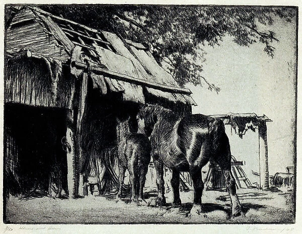 Horses and Barn