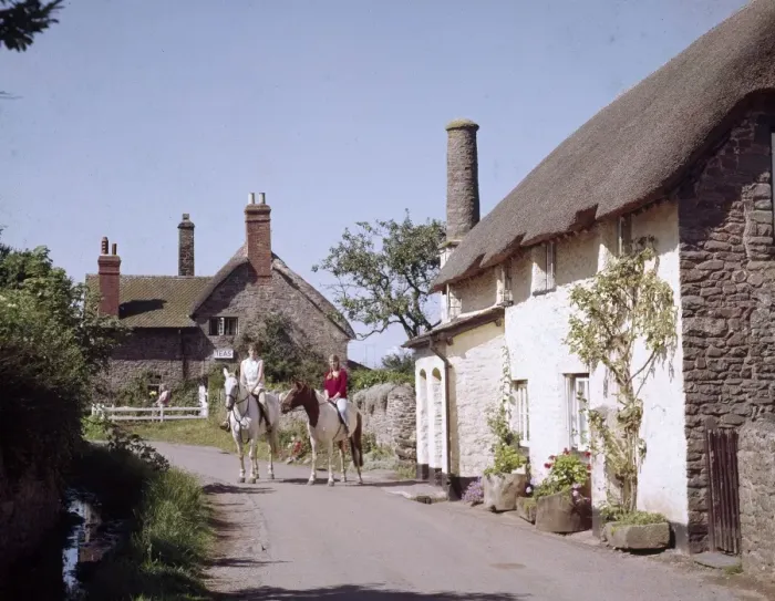 Framed Print : Horses by cottages at Bossington, Somerset Framed Print : Horses by cottages at Bossington, Somerset