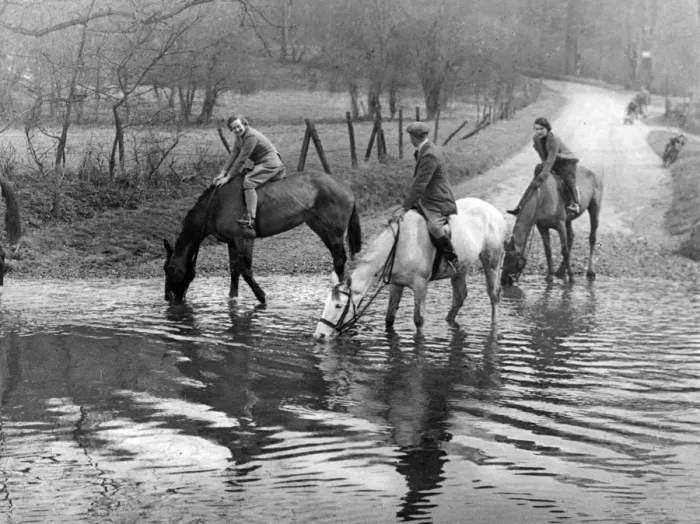 Framed Print : Horses at a Ford Framed Print : Horses at a Ford
