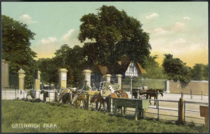 Framed Print : Horses at Greenwich Park Framed Print : Horses at Greenwich Park