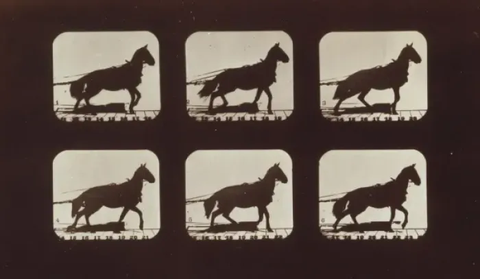 Framed Print : Horses. Hauling Framed Print : Horses. Hauling