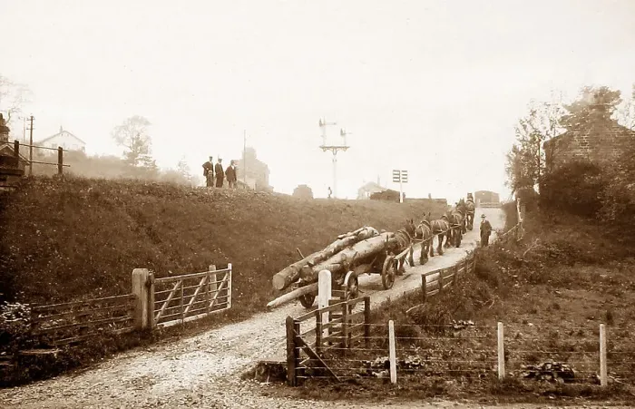 Framed Print : Horses hauling timber to Glaisdale Railway Station Framed Print : Horses hauling timber to Glaisdale Railway Station