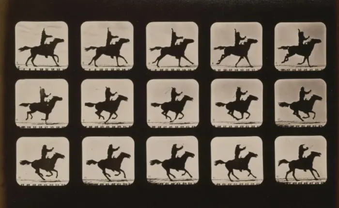 Framed Print : Horses. Irregular Framed Print : Horses. Irregular