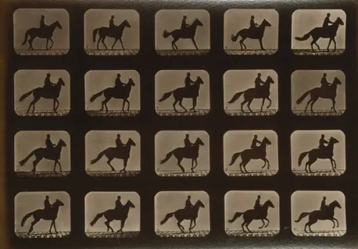 Framed Print : Horses. Irregular Framed Print : Horses. Irregular