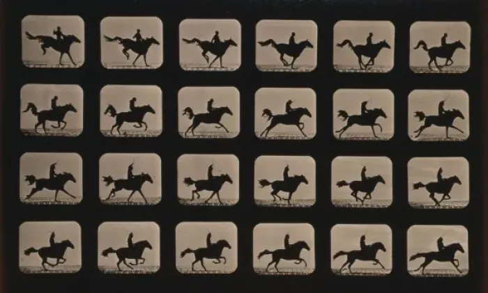 Framed Print : Horses. After leaping a 3 ft. 6 hurdle Framed Print : Horses. After leaping a 3 ft. 6 hurdle