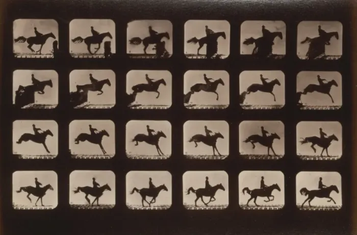 Framed Print : Horses. Leaping a 3 ft. 6 hurdle Framed Print : Horses. Leaping a 3 ft. 6 hurdle