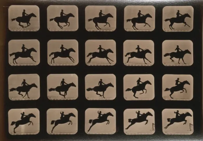 Framed Print : Horses. Leaping a 3 ft. 6 hurdle Framed Print : Horses. Leaping a 3 ft. 6 hurdle