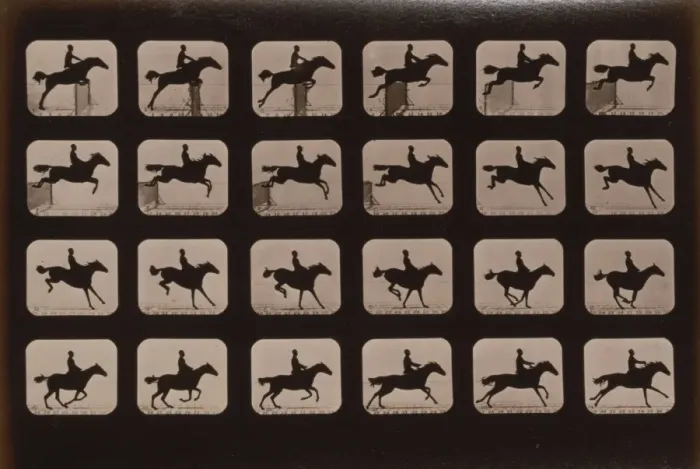 Framed Print : Horses. Leaping a 3 ft. 6 hurdle Framed Print : Horses. Leaping a 3 ft. 6 hurdle