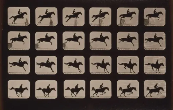 Framed Print : Horses. Leaping a 3 ft. 6 hurdle Framed Print : Horses. Leaping a 3 ft. 6 hurdle