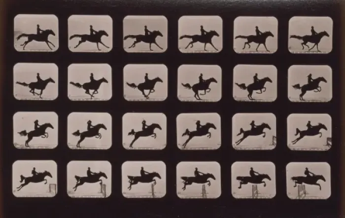 Framed Print : Horses. Leaping a 3 ft. 6 hurdle Framed Print : Horses. Leaping a 3 ft. 6 hurdle