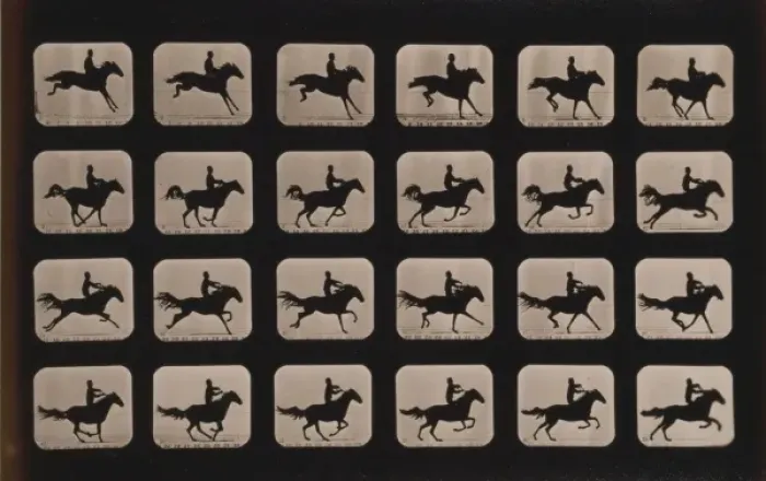 Framed Print : Horses. After leaping a 3 ft. 6 hurdle Framed Print : Horses. After leaping a 3 ft. 6 hurdle