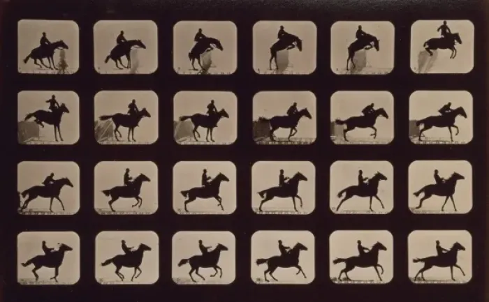 Framed Print : Horses. Leaping a 3 ft. 6 hurdle. Irregular Framed Print : Horses. Leaping a 3 ft. 6 hurdle. Irregular