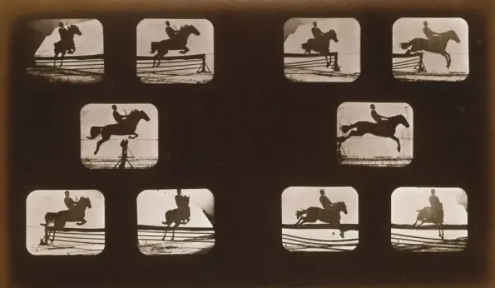 Framed Print : Horses. Leaping Framed Print : Horses. Leaping