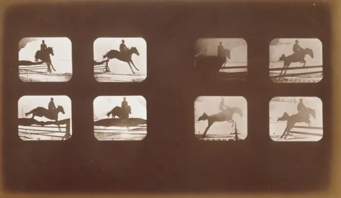 Framed Print : Horses. Leaping Framed Print : Horses. Leaping