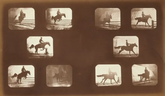 Framed Print : Horses. Leaping Framed Print : Horses. Leaping