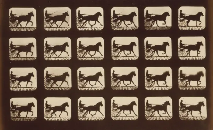 Framed Print : Horses. Pacing Framed Print : Horses. Pacing