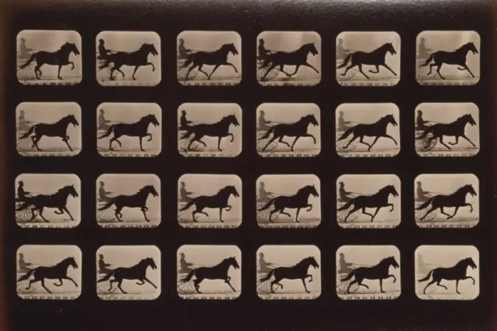 Framed Print : Horses. Pacing Framed Print : Horses. Pacing