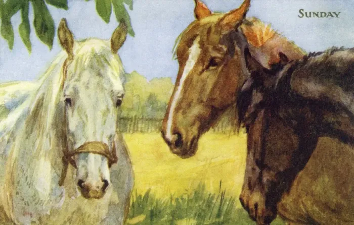 Framed Print : Horses resting in a field Framed Print : Horses resting in a field