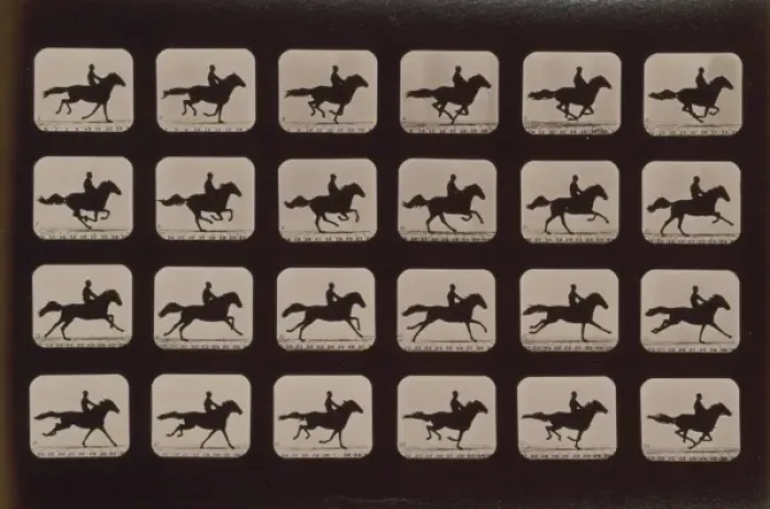 Framed Print : Horses. Running Framed Print : Horses. Running