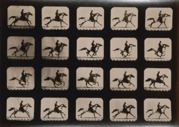 Framed Print : Horses. Running Framed Print : Horses. Running