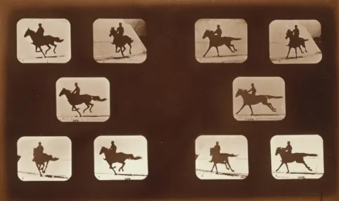 Framed Print : Horses. Running Framed Print : Horses. Running