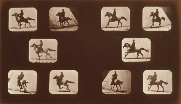 Framed Print : Horses. Running Framed Print : Horses. Running