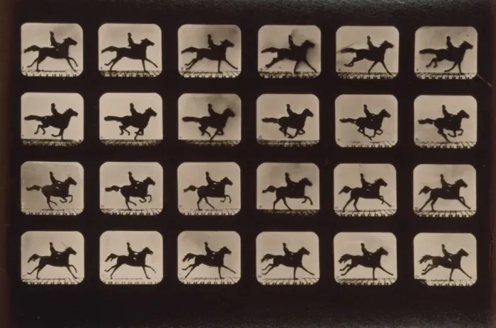 Framed Print : Horses. Running Framed Print : Horses. Running