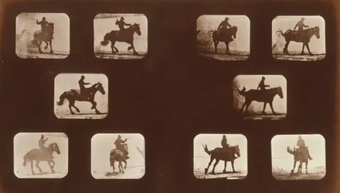 Framed Print : Horses. Running Framed Print : Horses. Running