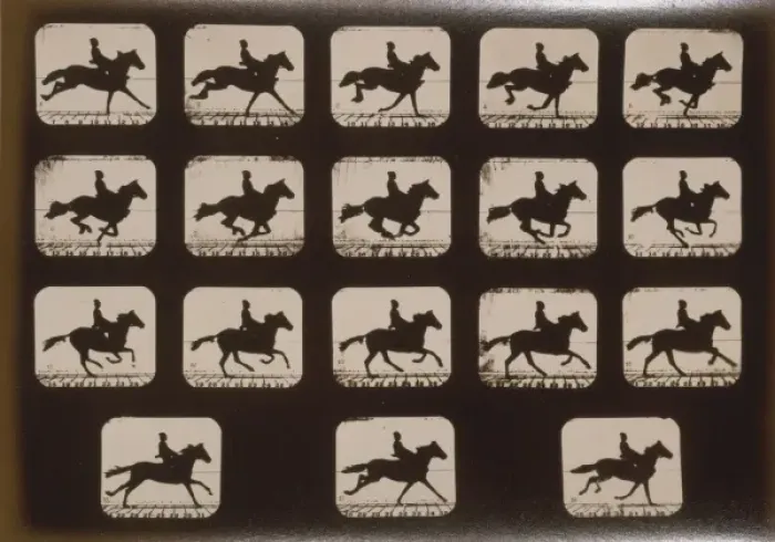 Framed Print : Horses. Running