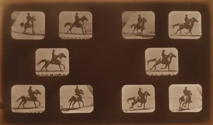 Framed Print : Horses. Running Framed Print : Horses. Running