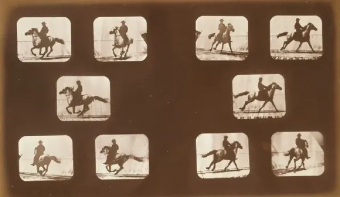 Framed Print : Horses. Running Framed Print : Horses. Running