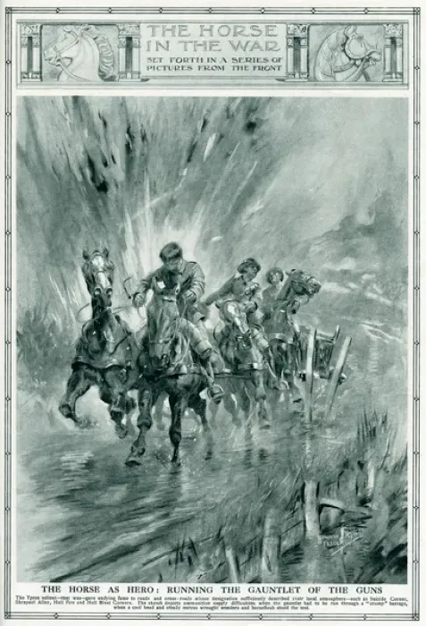 Framed Print : Horses running the gauntlet of the guns, 1917 Framed Print : Horses running the gauntlet of the guns, 1917