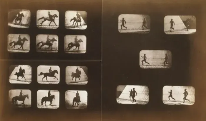 Framed Print : Horses. Running - Horses. Running - Horses. Running - Horses Framed Print : Horses. Running - Horses. Running - Horses. Running - Horses