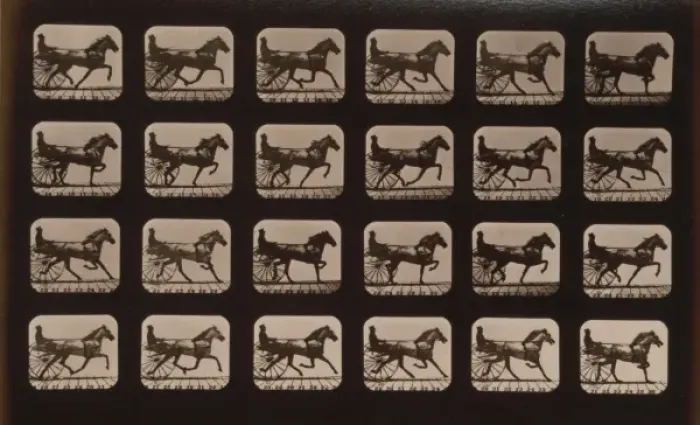 Framed Print : Horses. Trotting