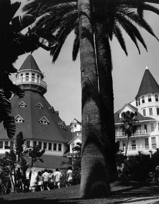 Framed Print : Hotel Del Coronado Framed Print : Hotel Del Coronado