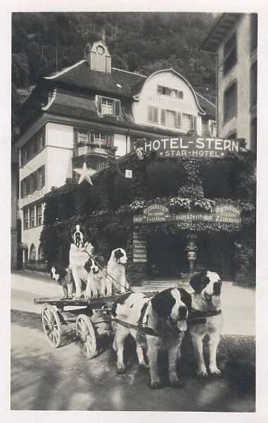 Hotel Stern with dogs, Fluelen, Uri, Switzerland