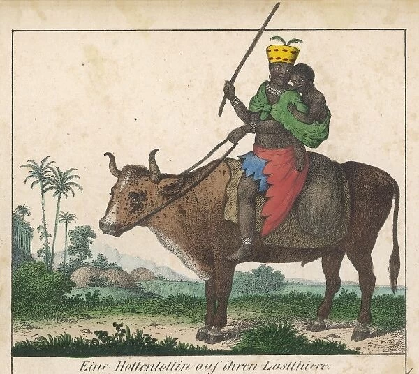 Hottentot on Ox