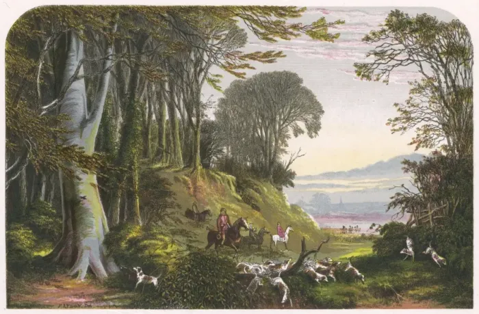 Framed Print : Out with the Hounds Framed Print : Out with the Hounds