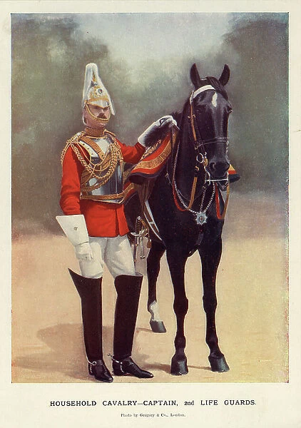 Household Cavalry, Captain, 2nd Life Guards