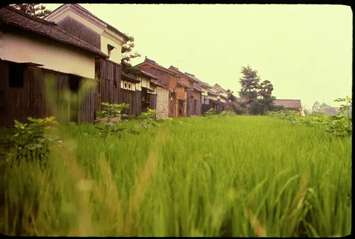 Framed Print : Houses Near Jiko-In Nara, Japan Framed Print : Houses Near Jiko-In Nara, Japan