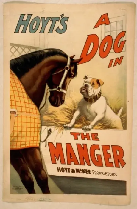 Framed Print : Hoyts A dog in the manger Framed Print : Hoyts A dog in the manger