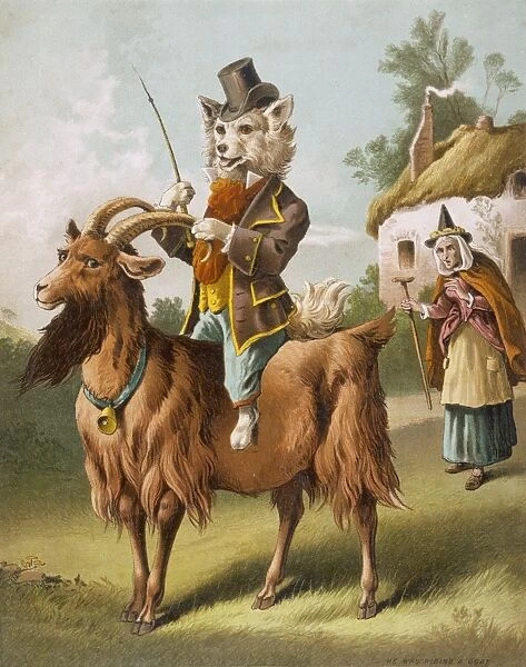 Hubbard  /  Riding Goat